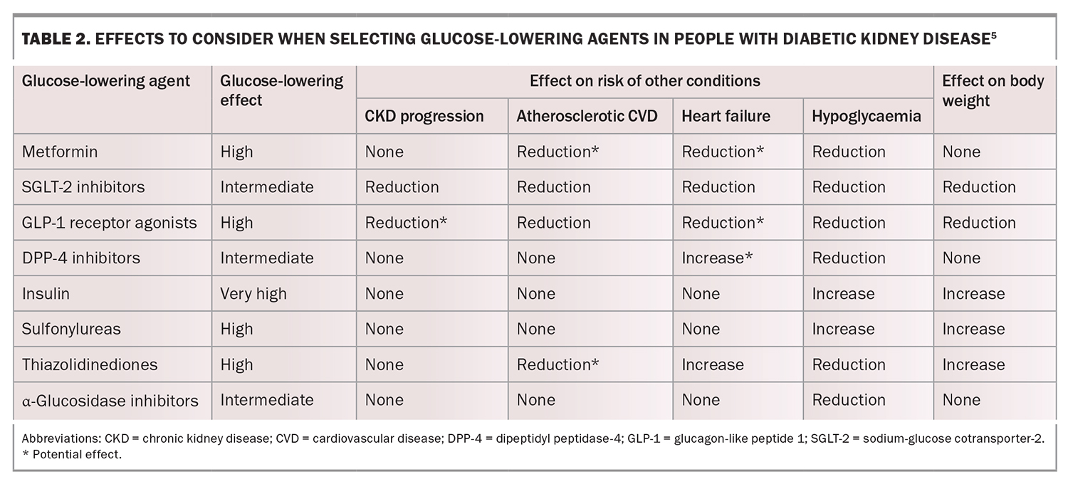 Preventing diabetic kidney disease progression an update Medicine Today